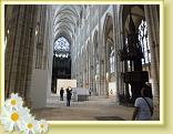 Rouen_DCA (32)
